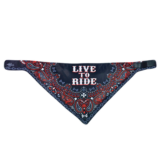 Dog Danna - LIVE TO RIDE Paisley