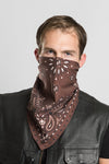 Brown Paisley w/Hidden Route 66 - 22" Bandana