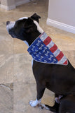 American Crossbone Dog Danna