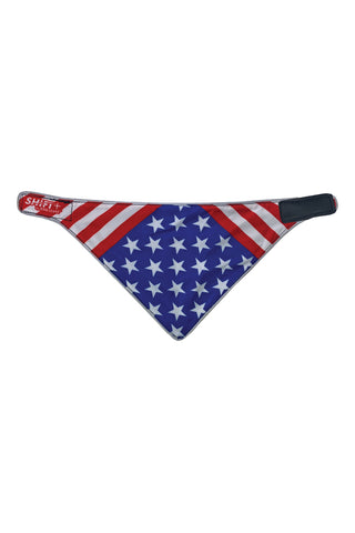 USA Flag Dog Danna