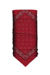 Red Paisley Bandana Tube